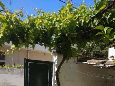 � il caso ad esempio di una casa degli anni 70 di via Maresciallo di Cosmo, abbellita propria da una verde rampicante che un tempo si trovava abbarbicata su un vecchio trullo